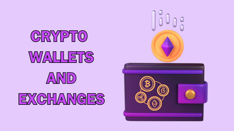 Crypto-Wallets-and-Exchanges